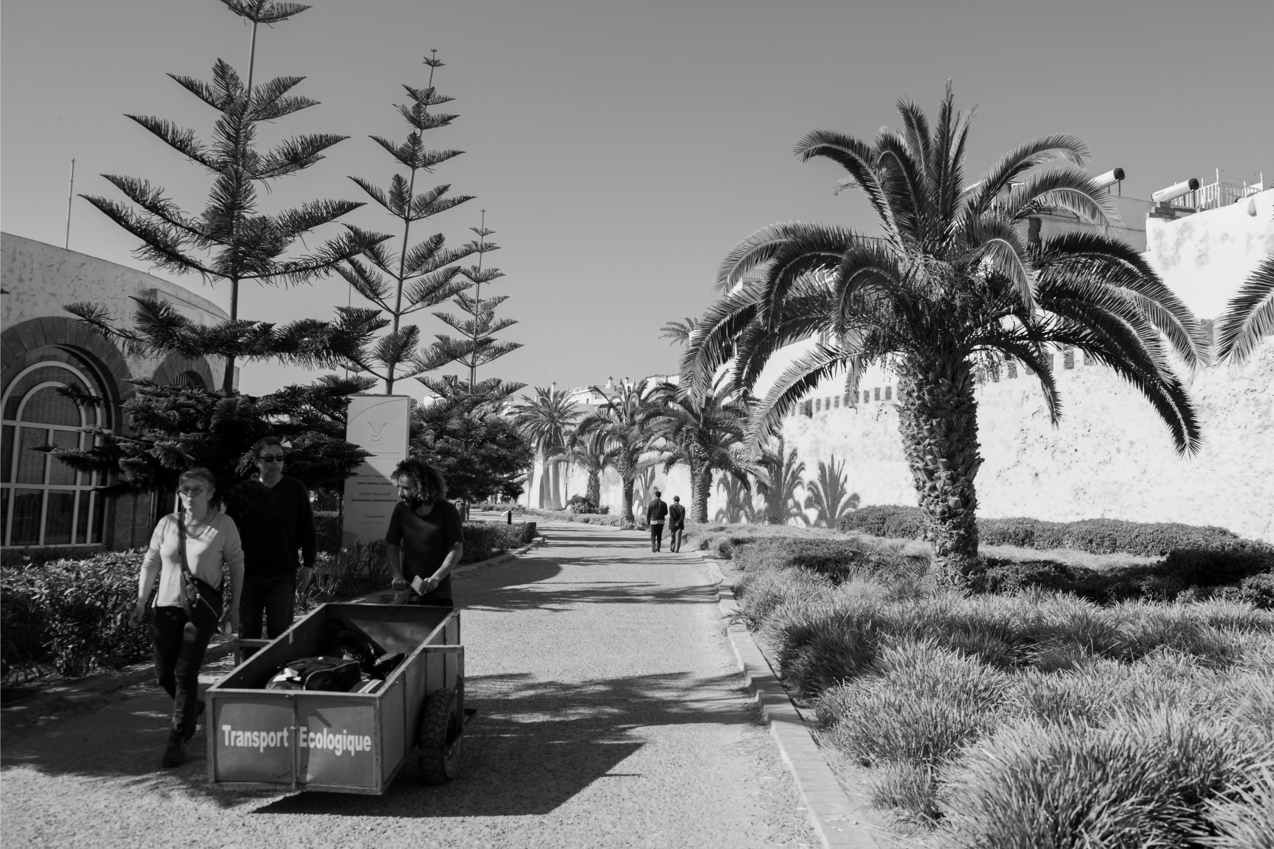 frammenti di lavotari in marocco #6